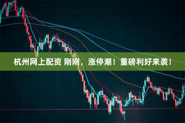 杭州网上配资 刚刚，涨停潮！重磅利好来袭！