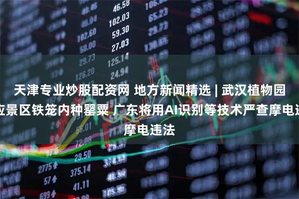天津专业炒股配资网 地方新闻精选 | 武汉植物园回应景区铁笼内种罂粟 广东将用AI识别等技术严查摩电违法